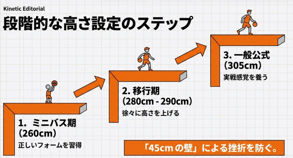 ミニバス（260cm）から移行期（280-290cm）、一般公式（305cm）へと段階的に高さを上げるトレーニングステップの図解。
